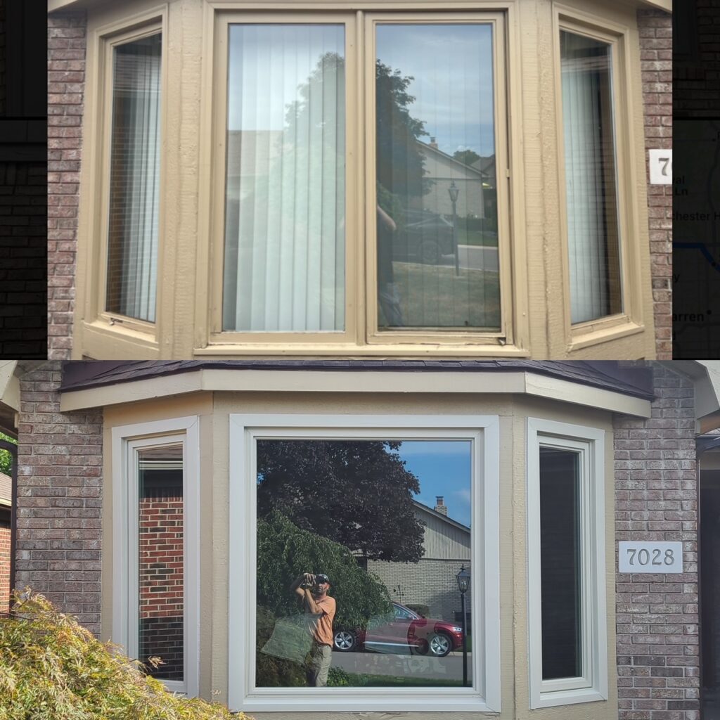 replacement window services Macomb